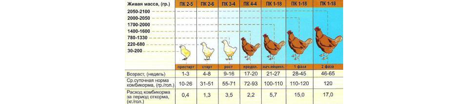 Сколько корма нужно цыплятам. Таблица кормления кур несушек комбикормом. Схема кормления кур несушек. Нормы кормления кур несушек комбикормом. Норма корма цыплятам несушкам 3 месяца.