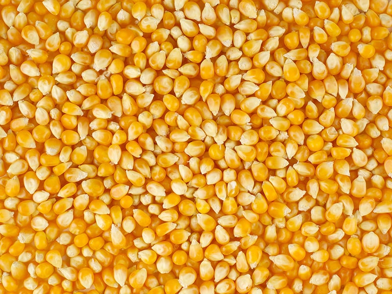 Цельная кукуруза